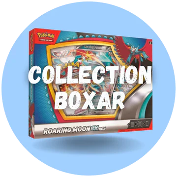 Collection boxar
