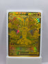 Mega Lucario ex 188/132