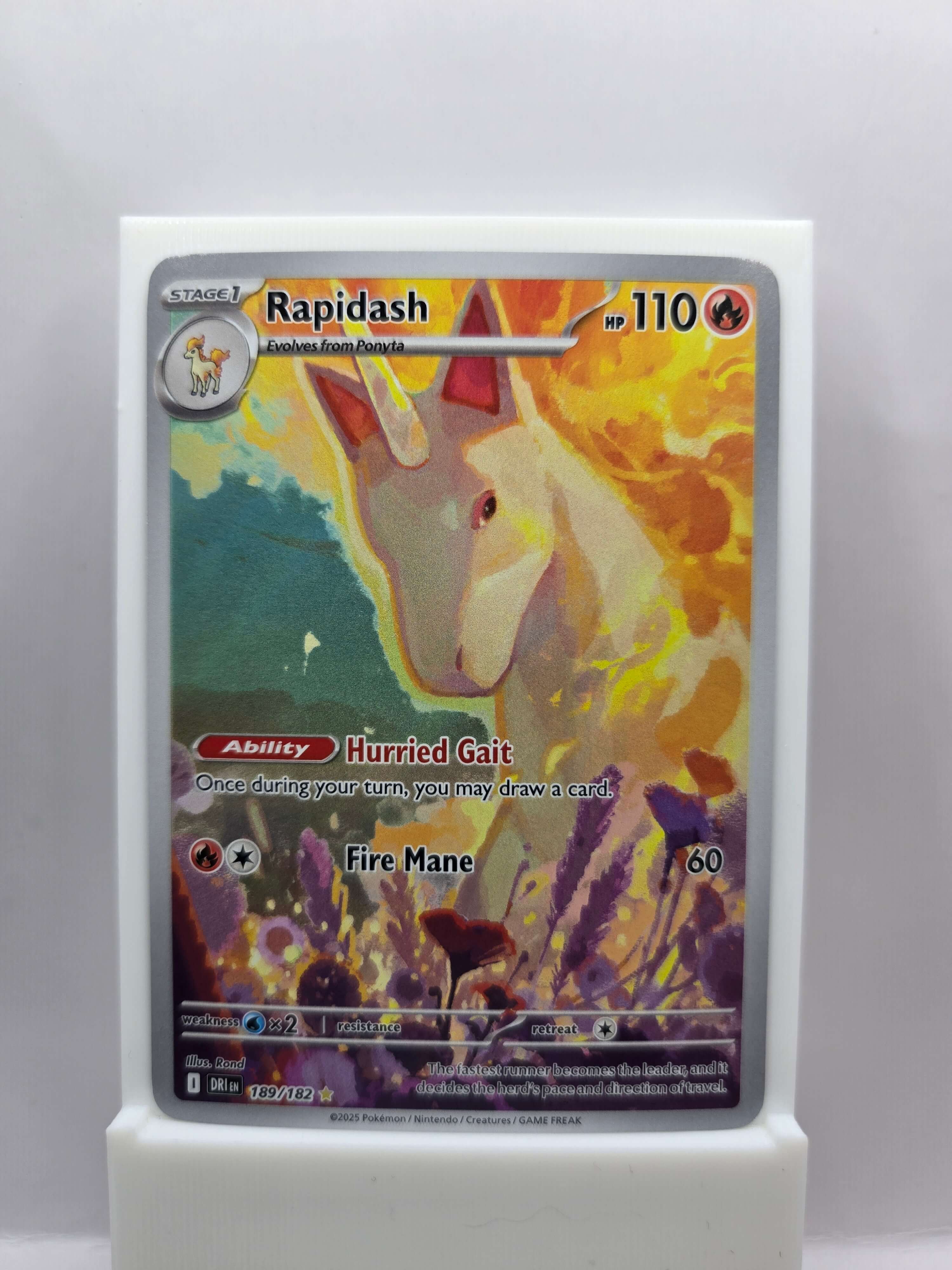 Rapidash 189/182