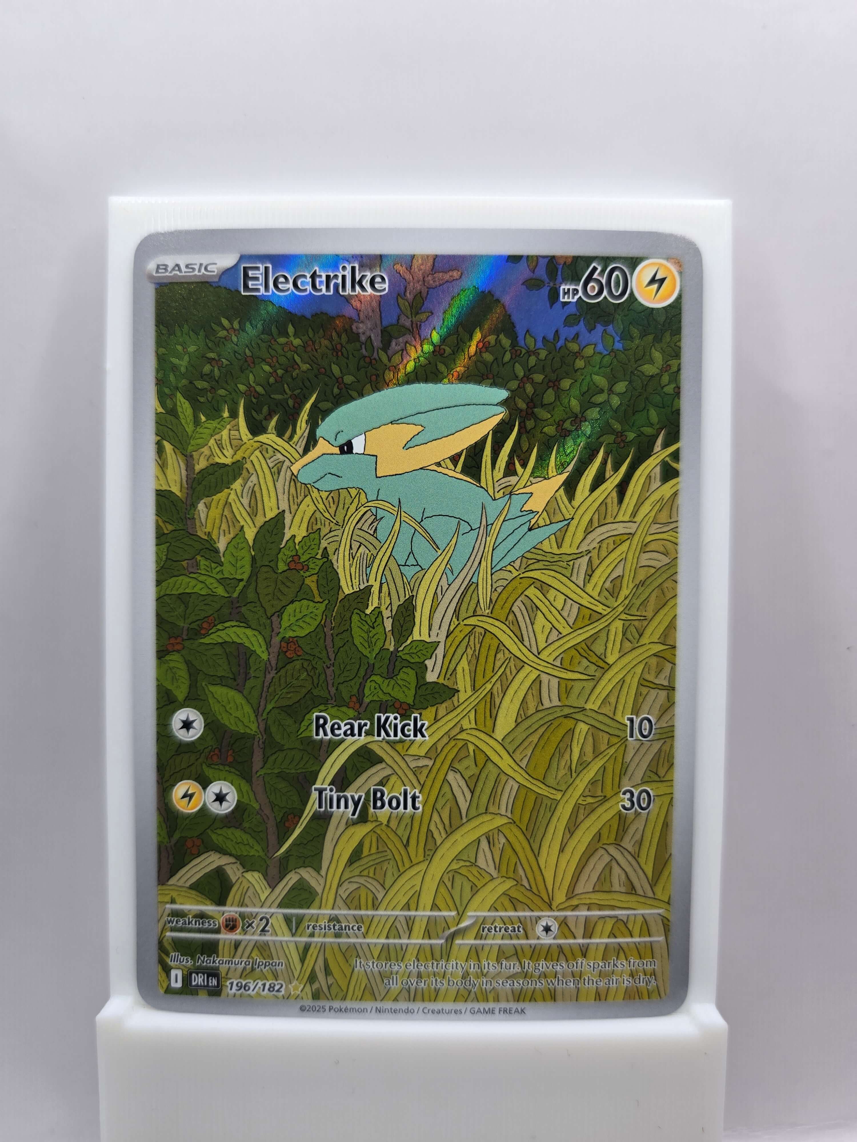 Electrike 196/182