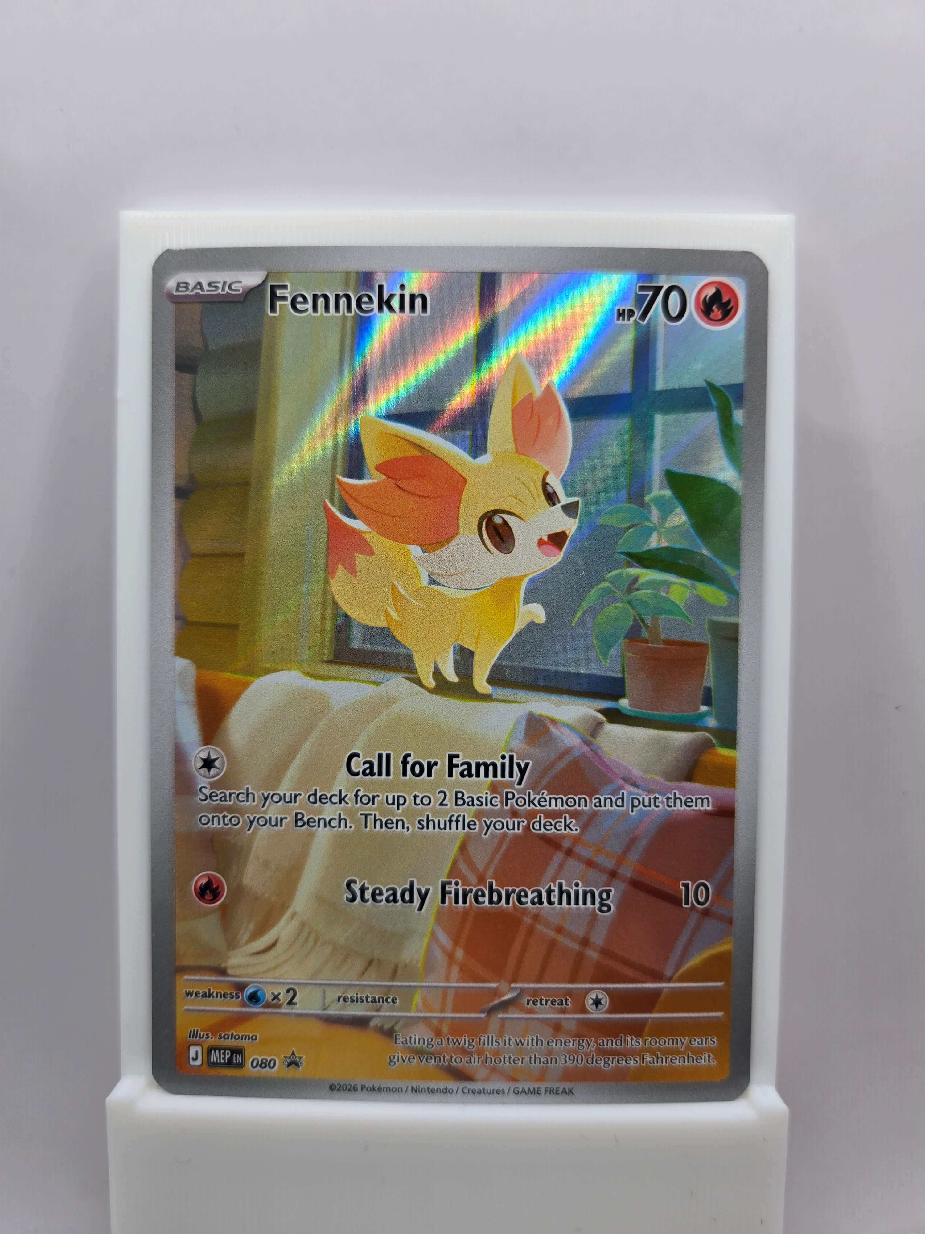 Fennekin 080