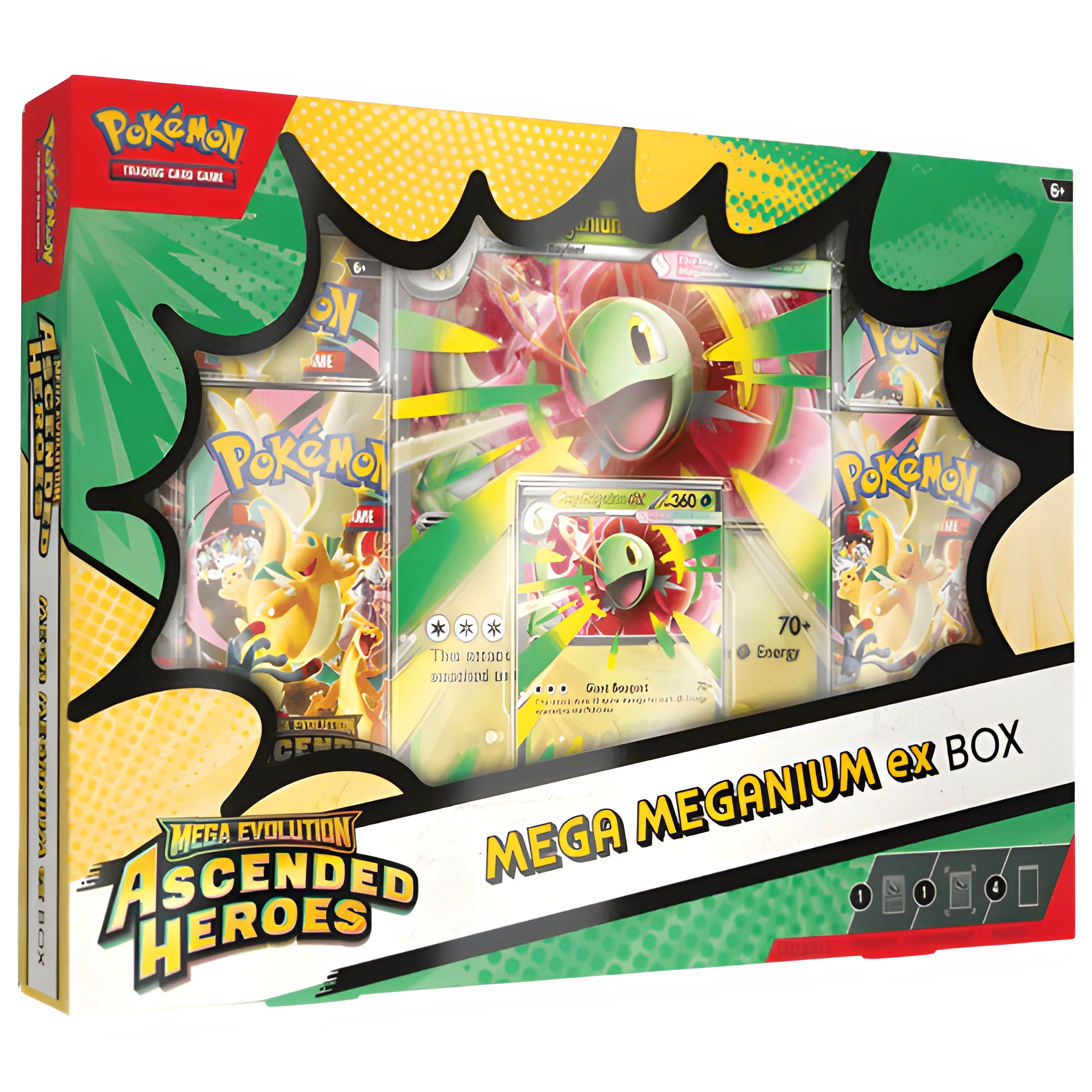 Pokémon TCG: Ascended Heroes Mega Meganium ex Collection box
