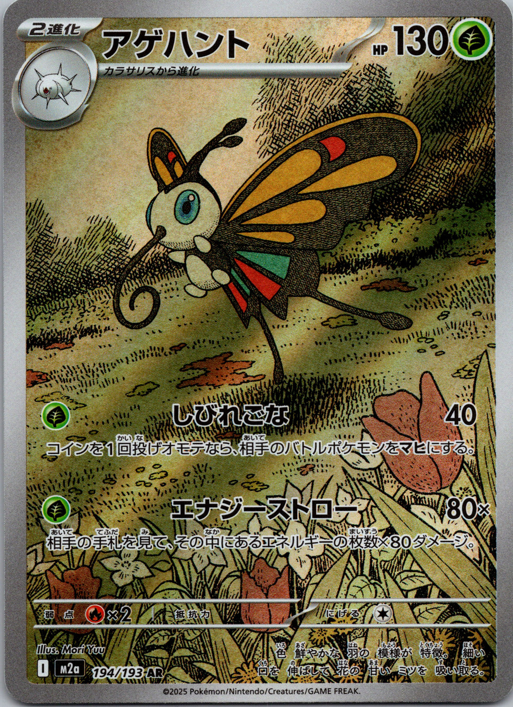 Beautifly - front
