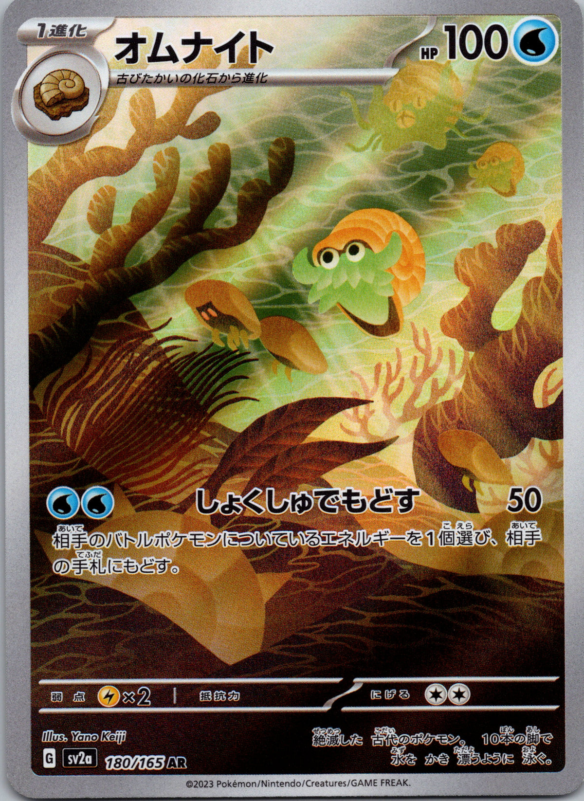 Omanyte - front
