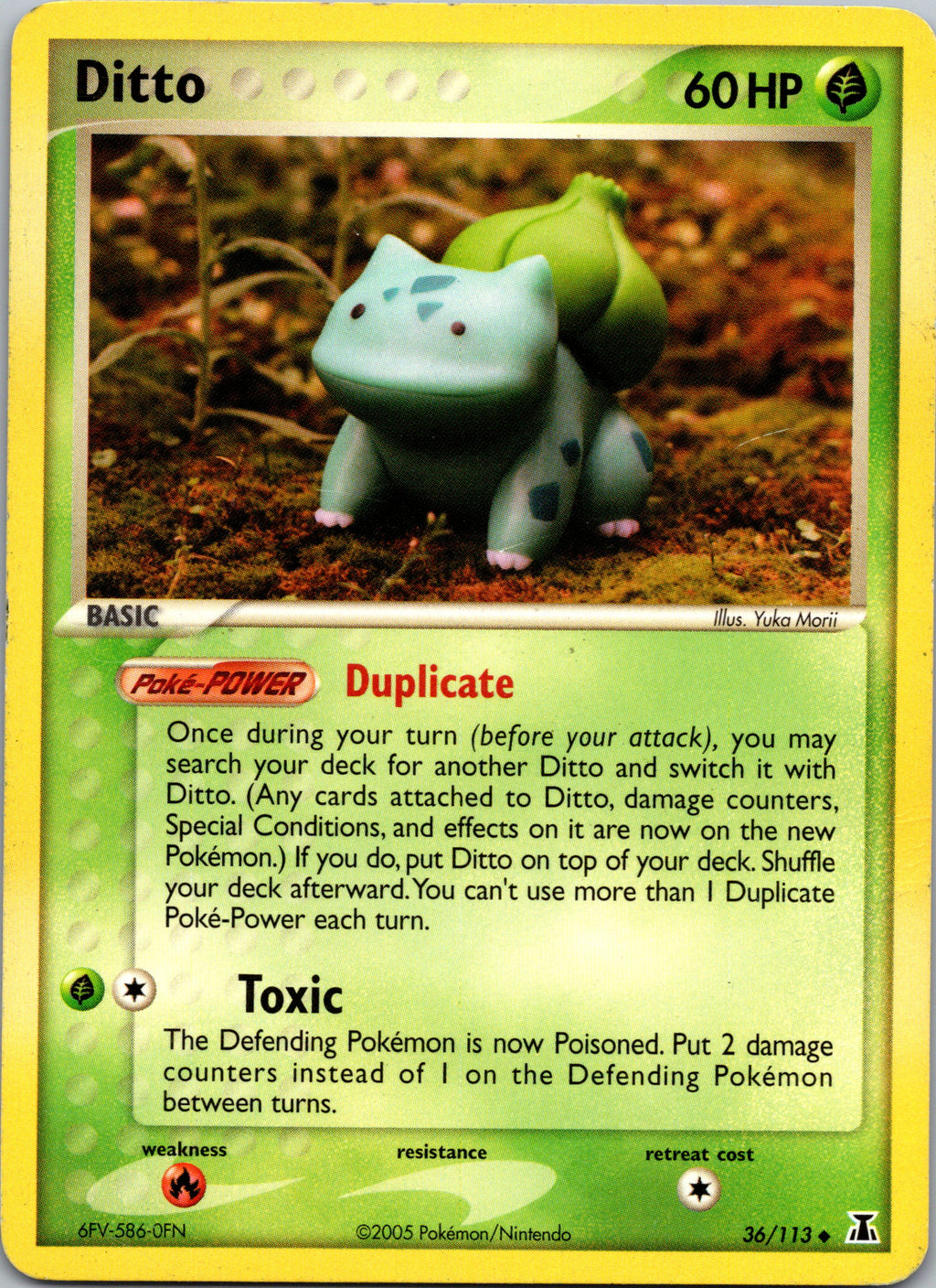 Ditto - front