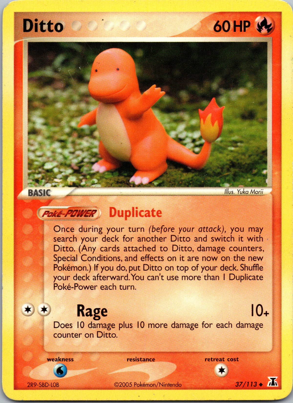 Ditto - front