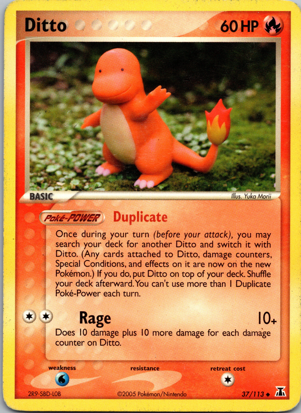 Ditto - front