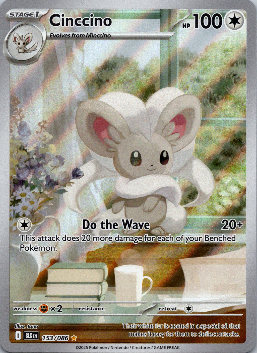 Cinccino - front