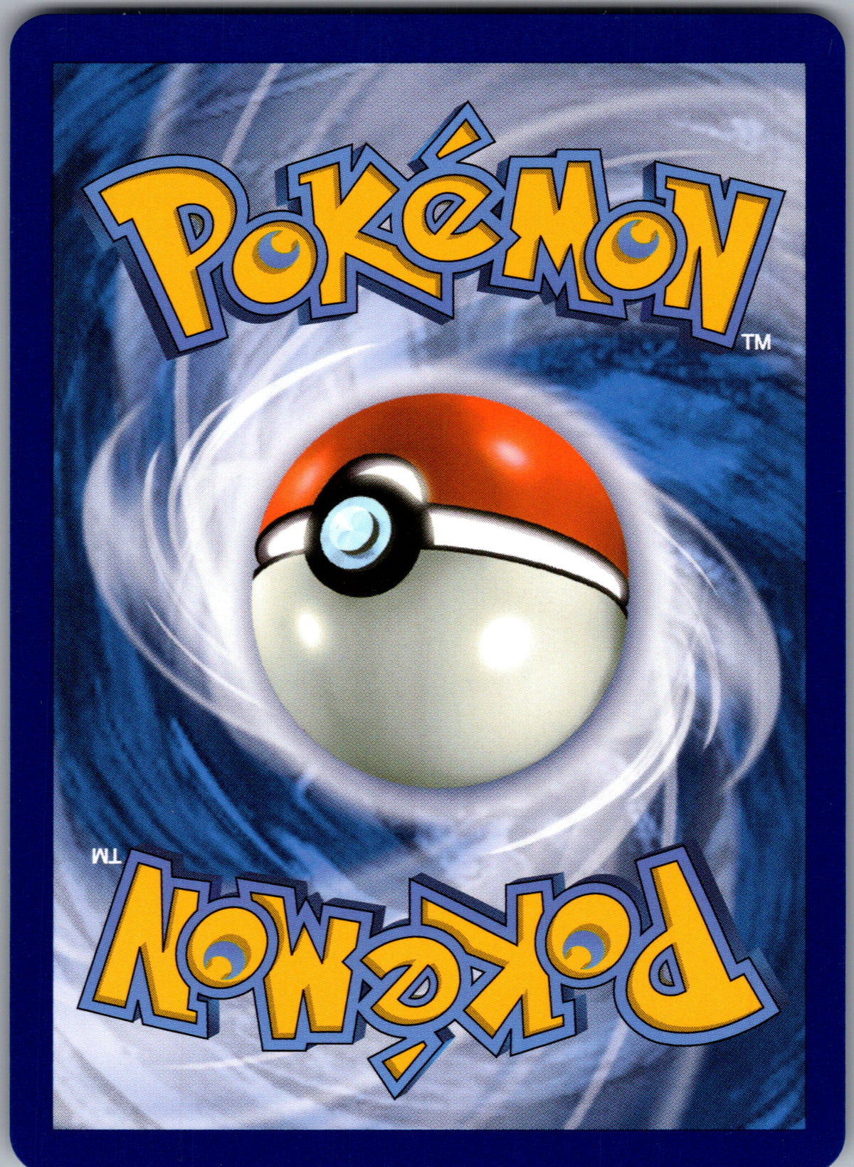Squirtle - back