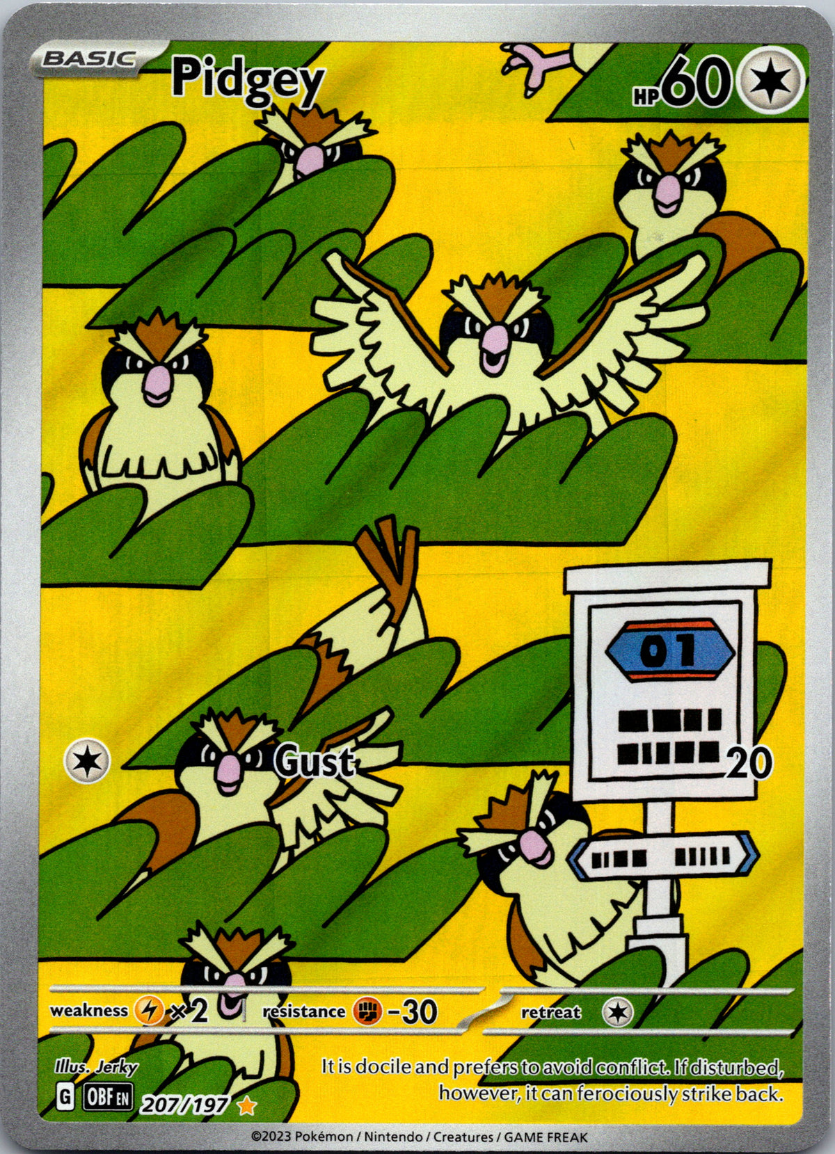Pidgey - front