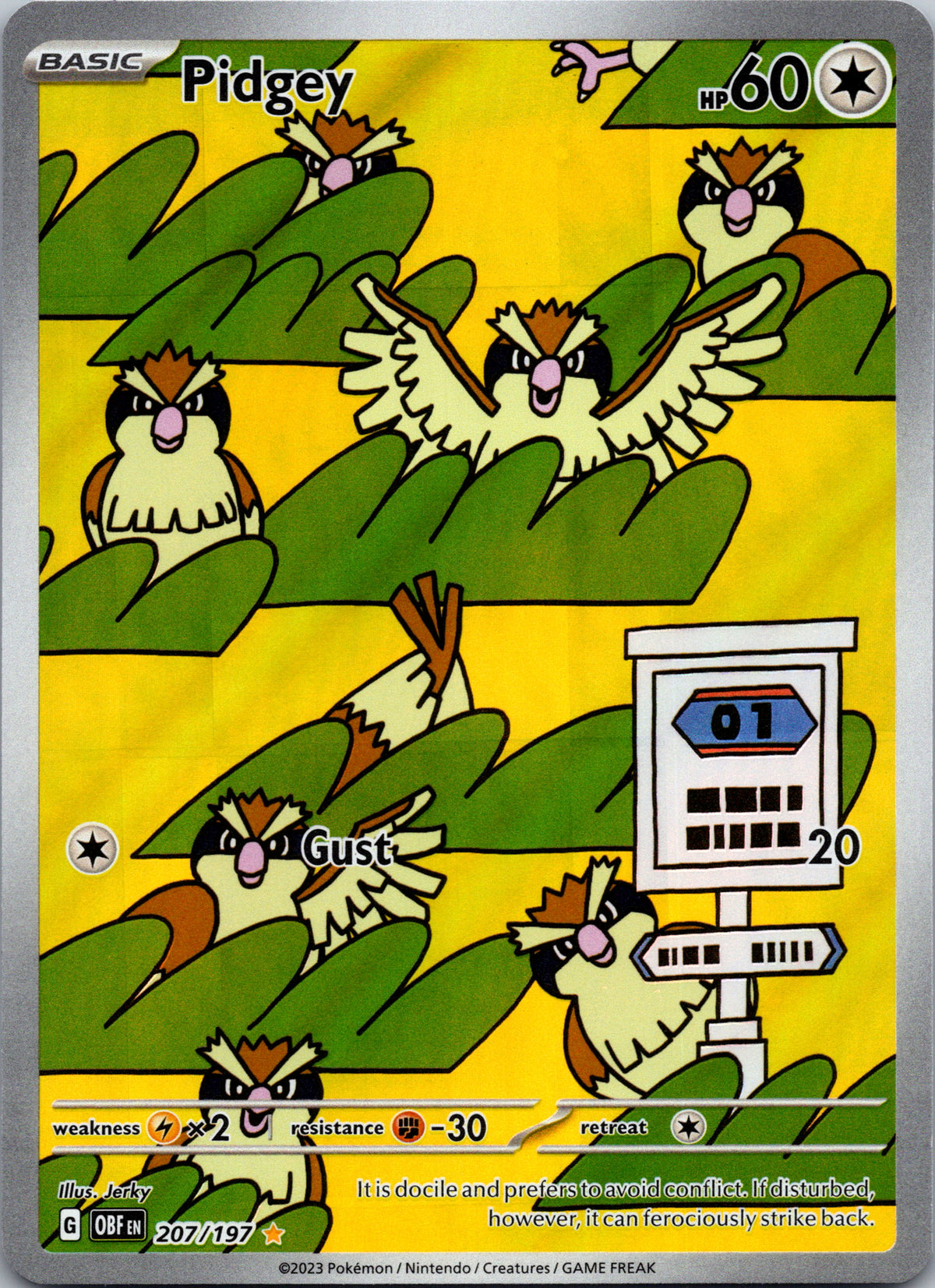 Pidgey - front