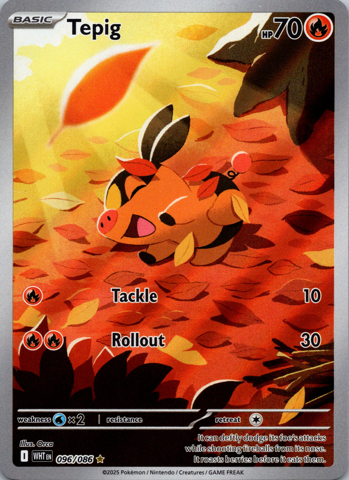 Tepig - front