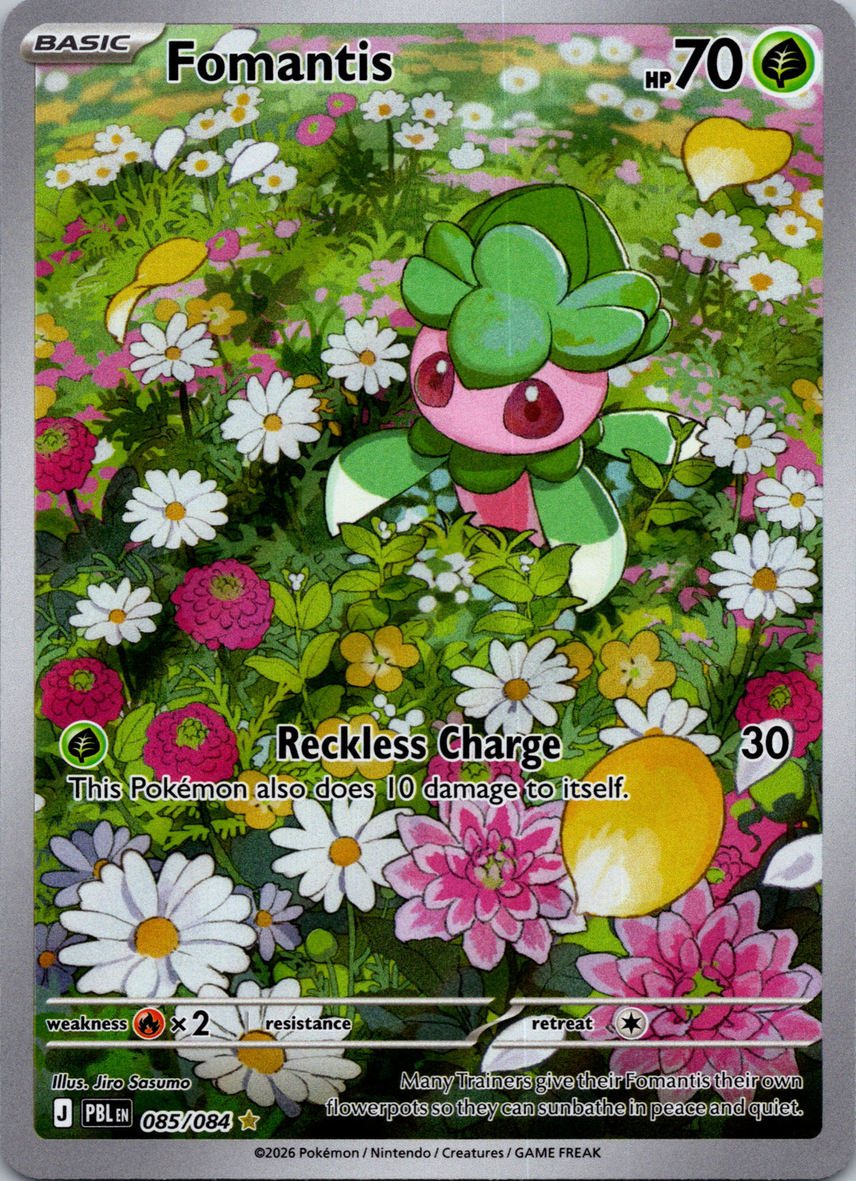 Fomantis - front