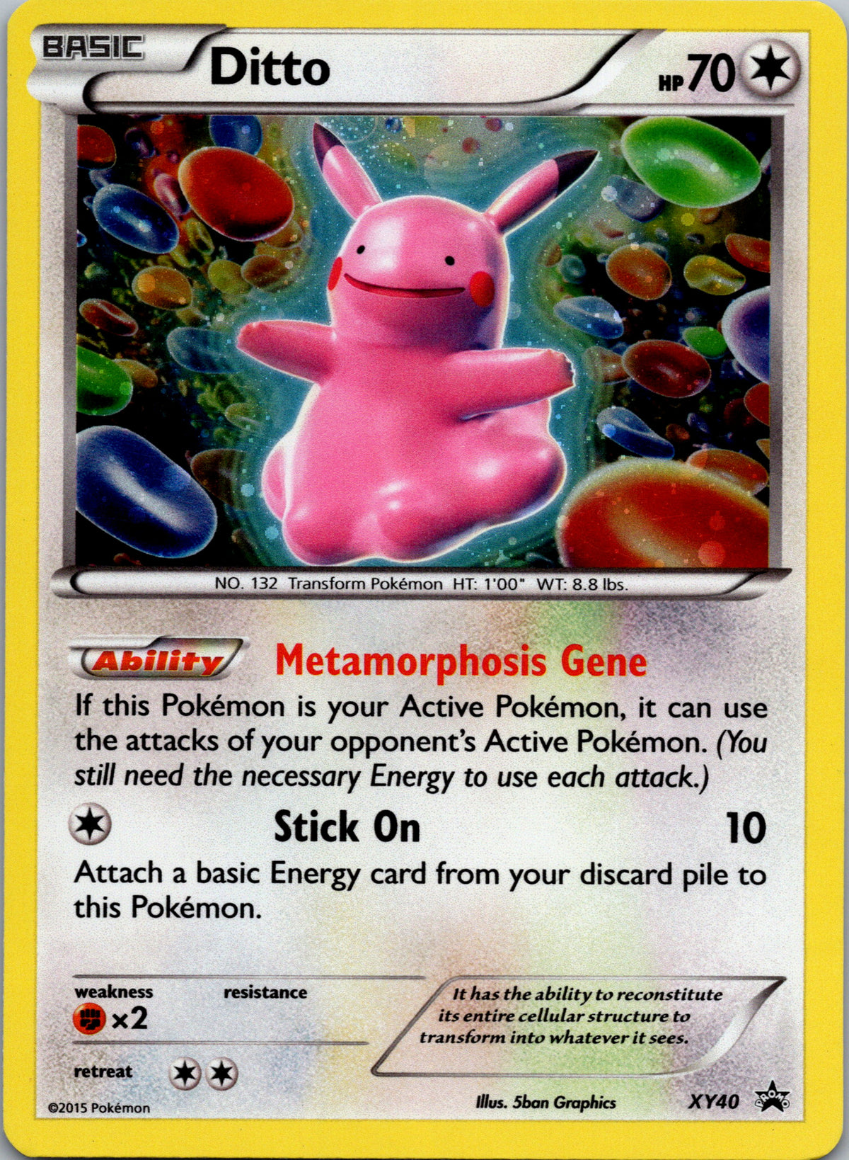 Ditto - front