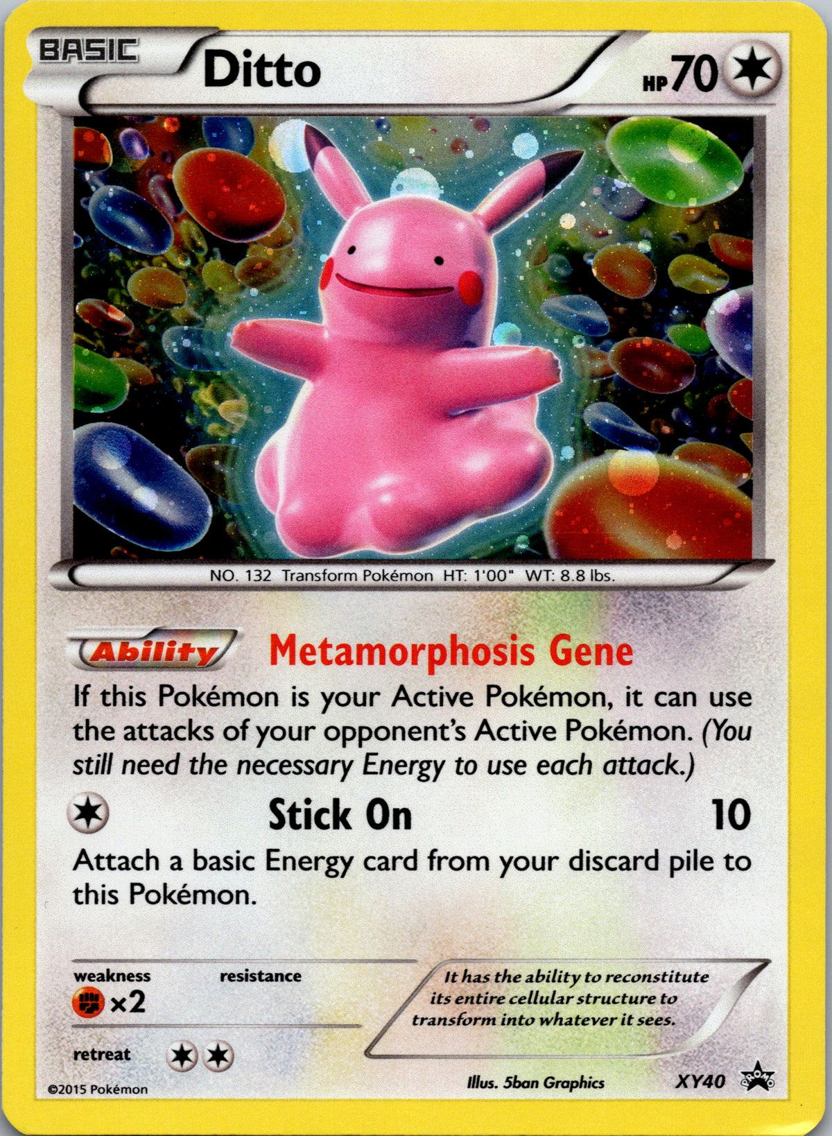 Ditto - front