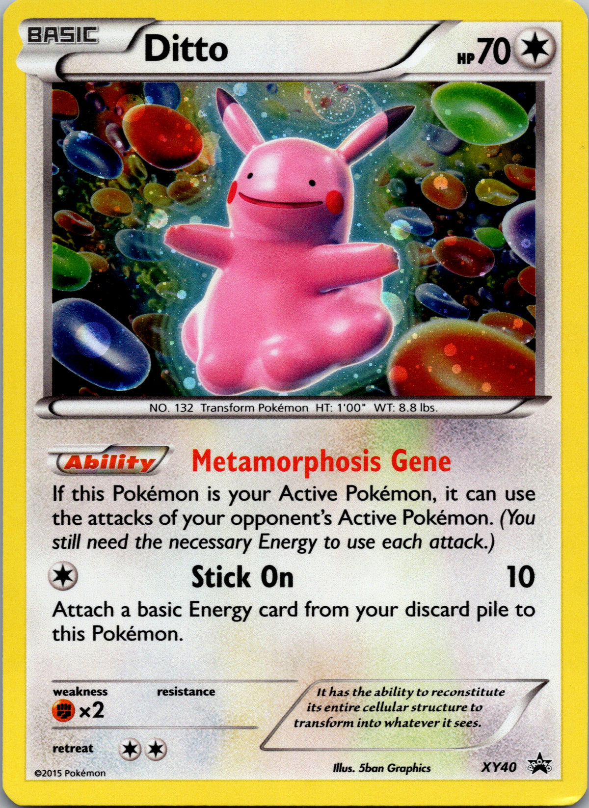 Ditto - front
