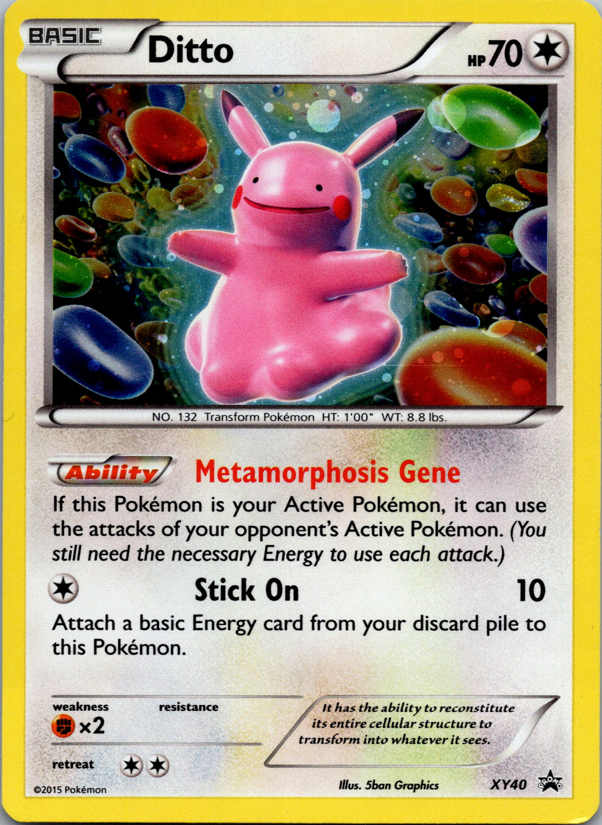 Ditto - front