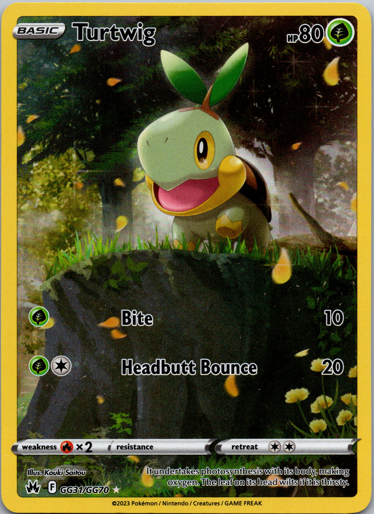 Turtwig - front