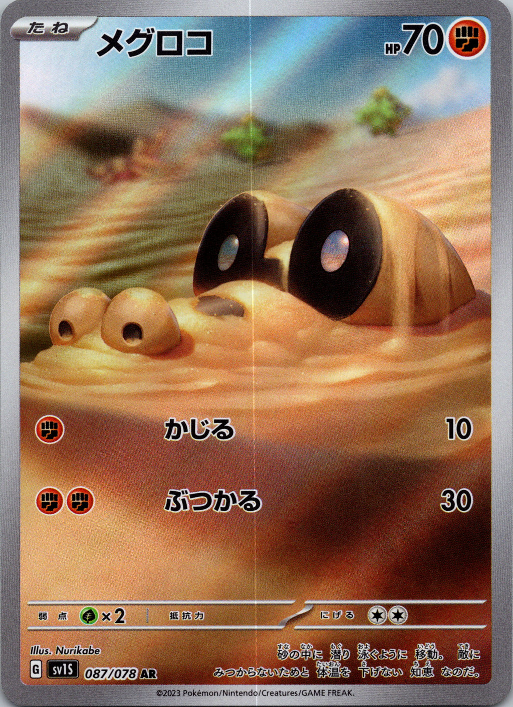 Sandile - front