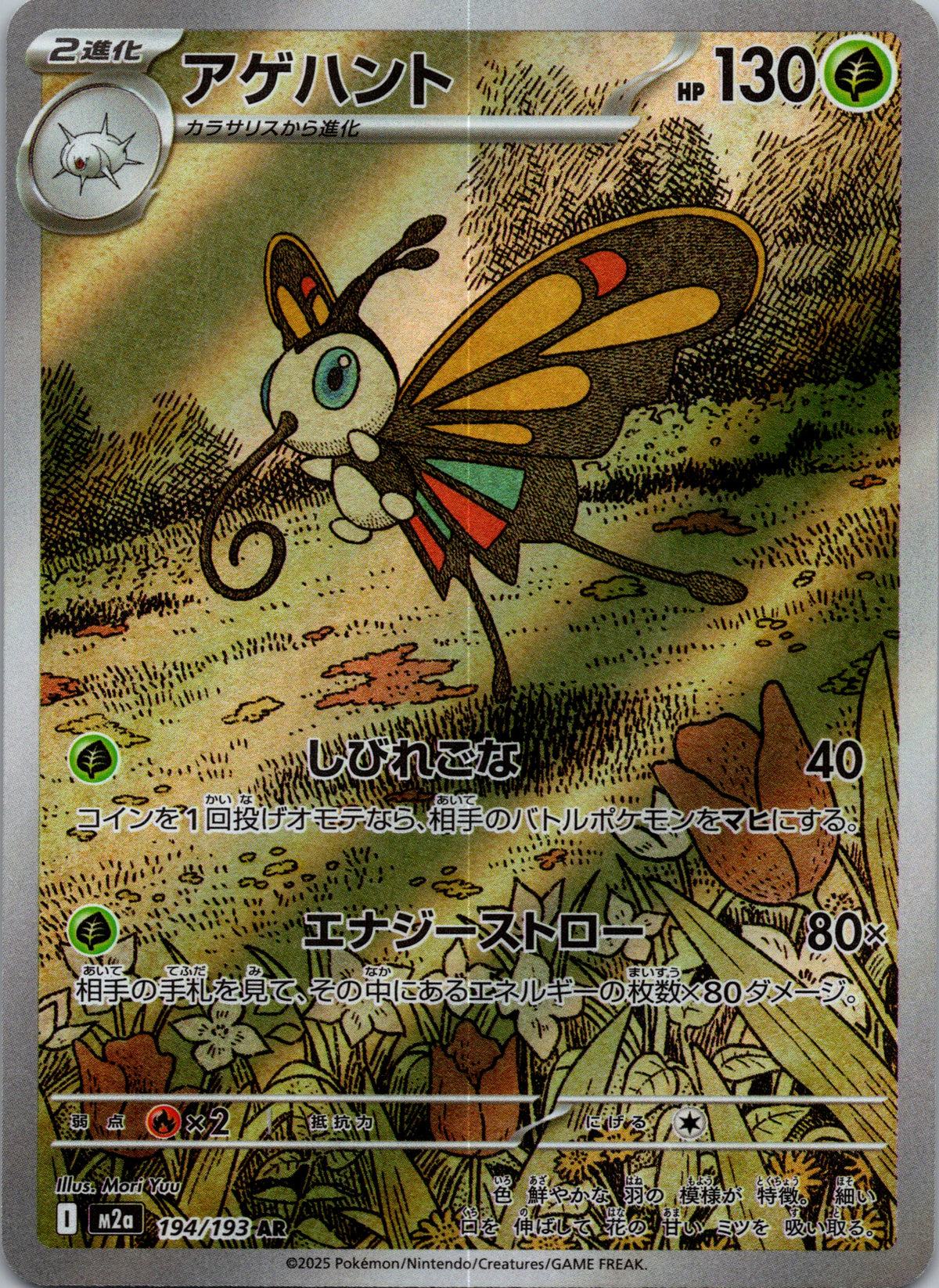 Beautifly - front
