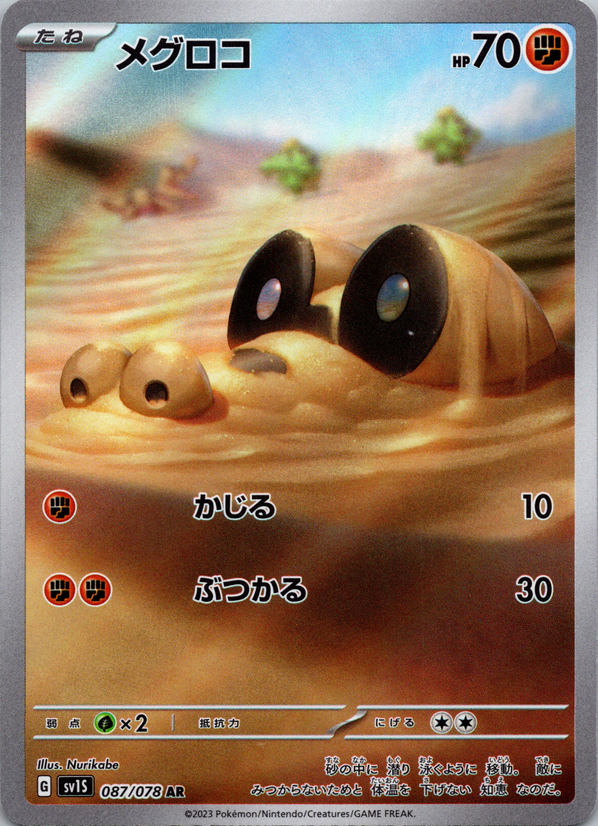 Sandile - front