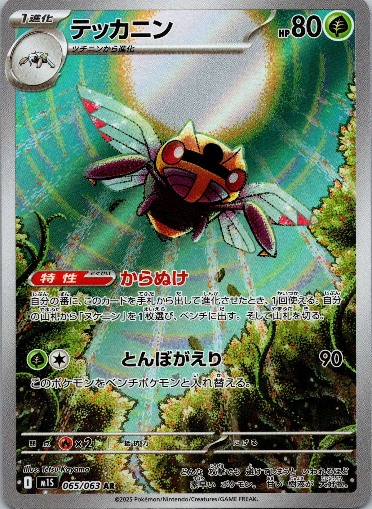 Ninjask - front