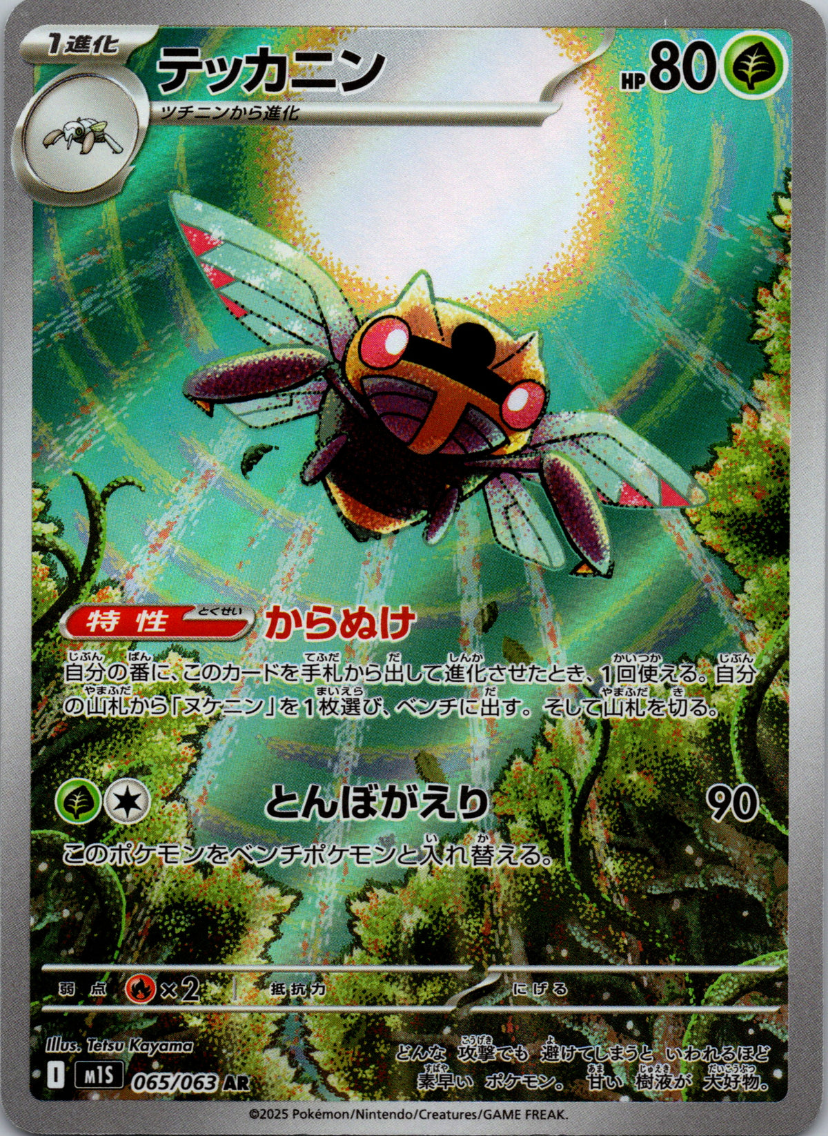 Ninjask - front