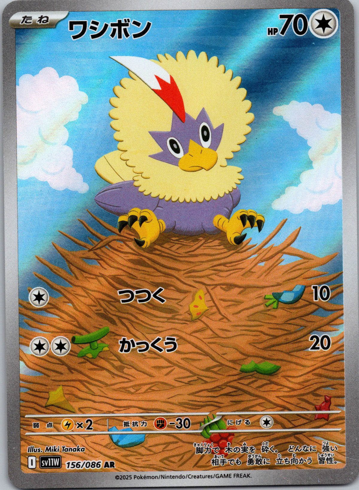 Rufflet - front