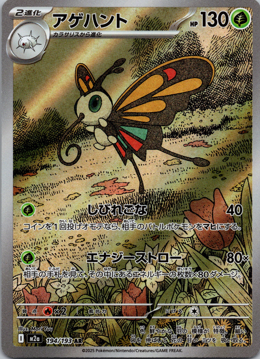 Beautifly - front